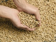 pellets pellets